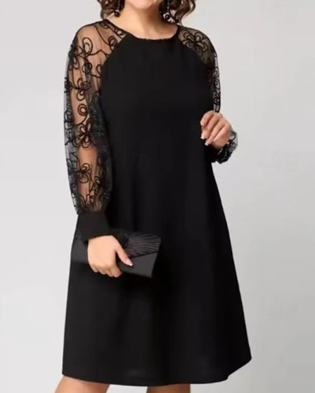 Damen Minikleid Spitzenkleid Lässiges Kleid Elegante Mode Outdoor Urlaub Date Regular Fit Schlicht Langarm Rundhalsausschnitt Schwarz Frühling Herbst