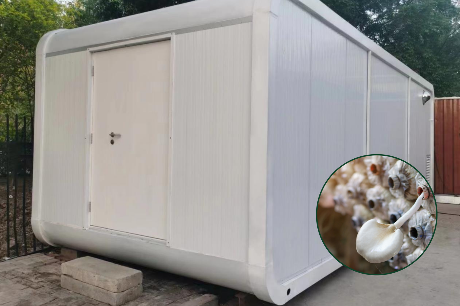 Multi-function intelligent control easy to use smart container farm